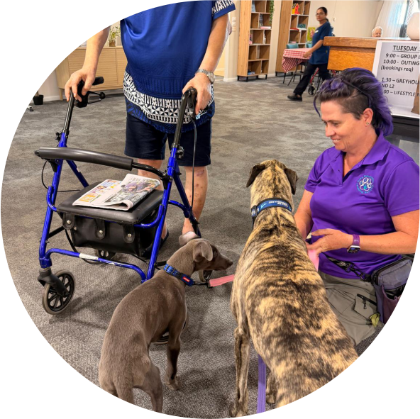 pets_services_visitation